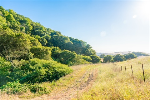 Newell Open Space Preserve